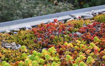 the cost of Hanley Castle green roof installation