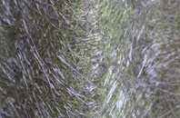 Hanley Castle fibreglass roof work